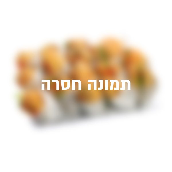 ממלא מקום